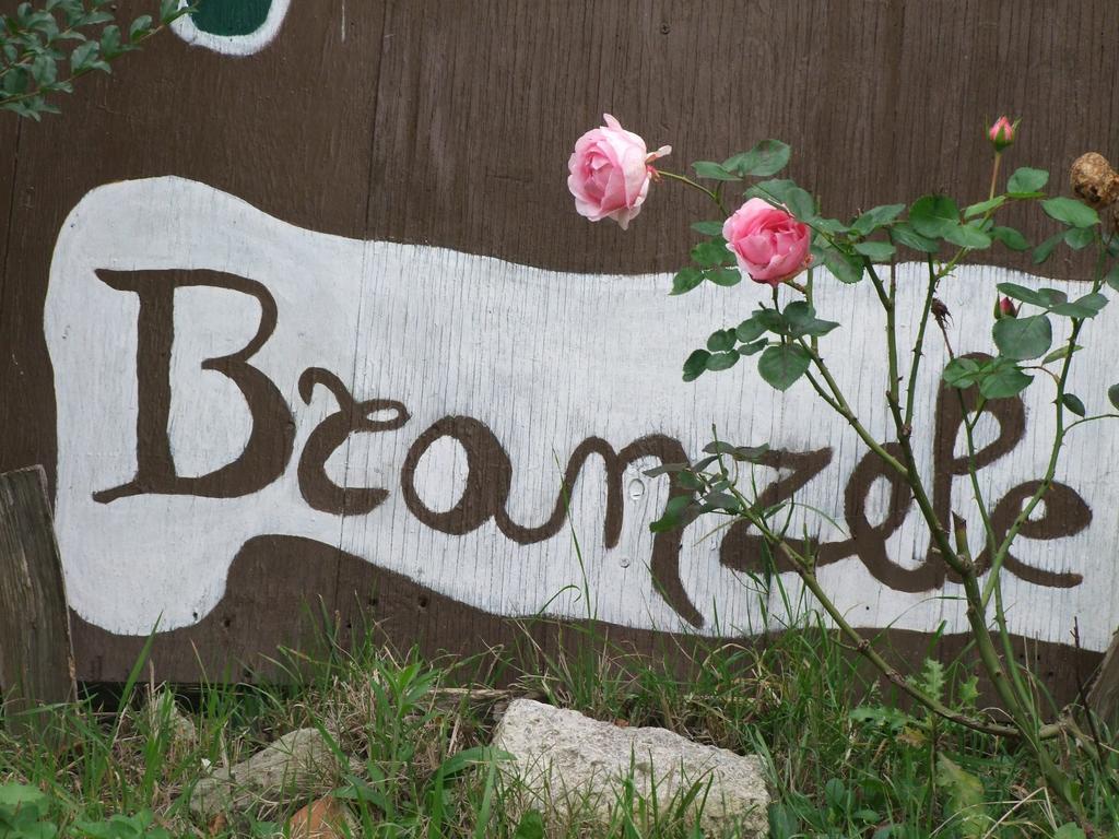 Casa Branzele Bed & Breakfast Trezzo Tinella Exterior photo